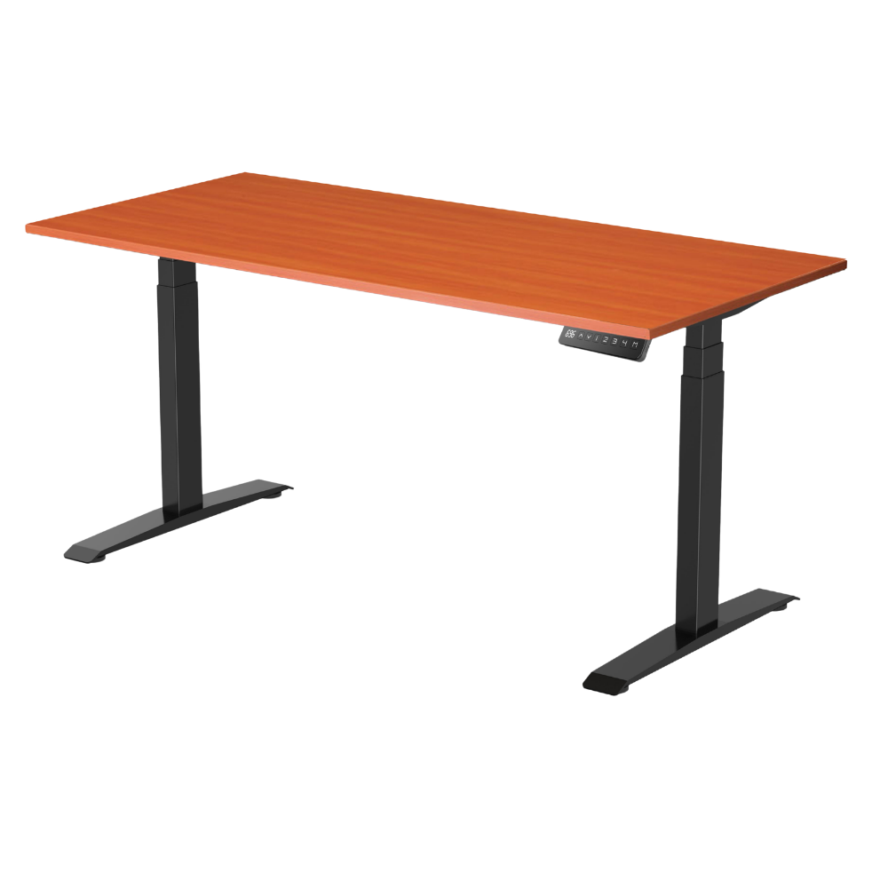 AG Electrical Height Adjustable Desk fully Imported