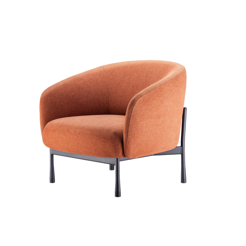 Cosmos Loung Range