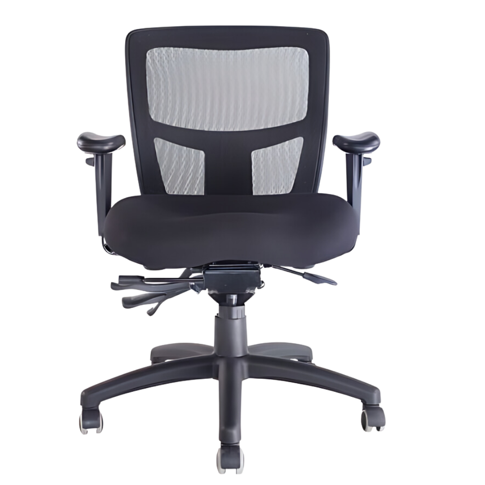 Ergo Office Chair, front view