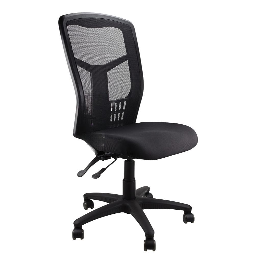 Kimberly High Back Office Chair, angled view