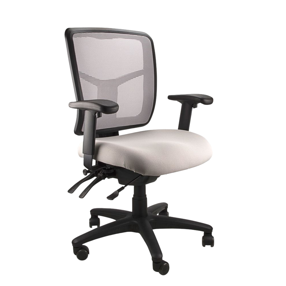 Mesh Mirae Office Chair, angled view