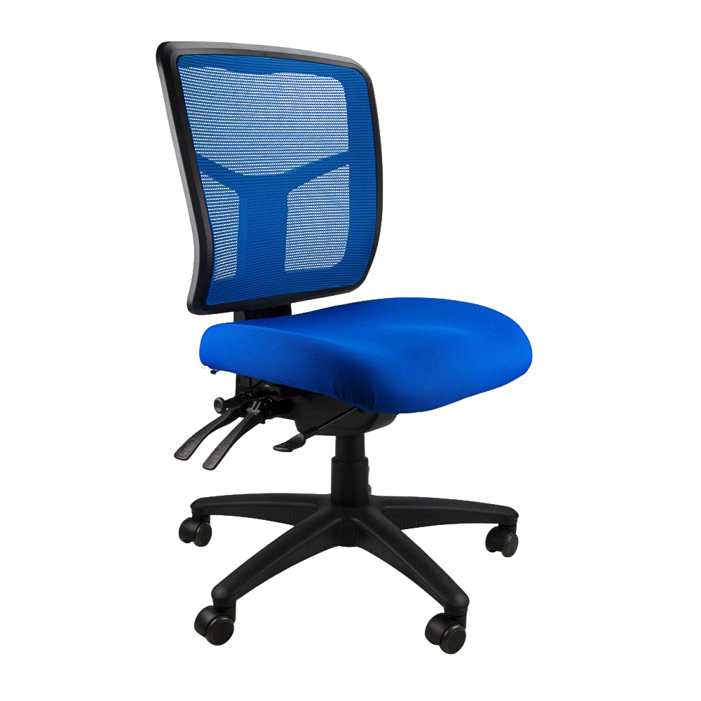 Mesh Mirae Office Chair, angled view