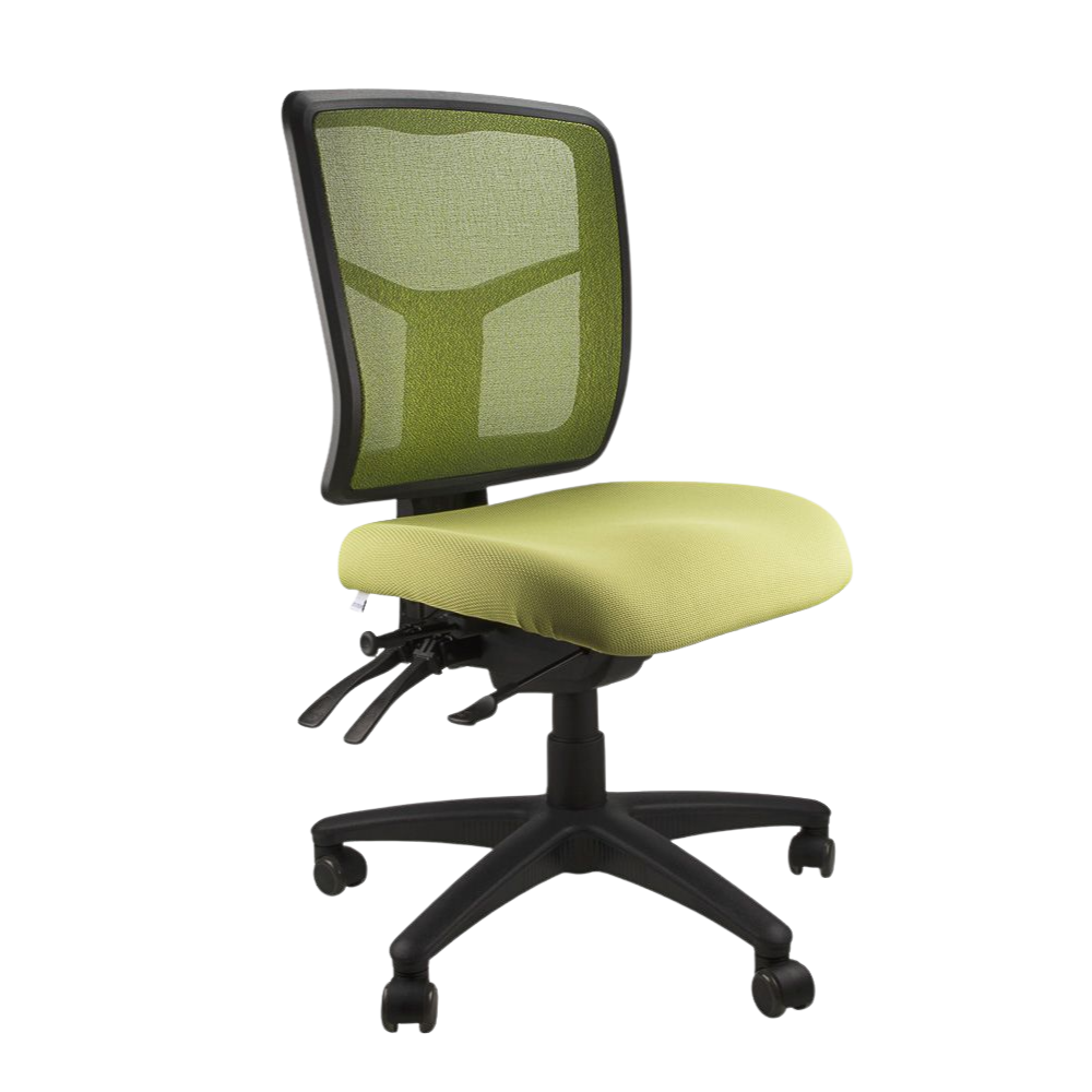 Mesh Mirae Office Chair, angled view
