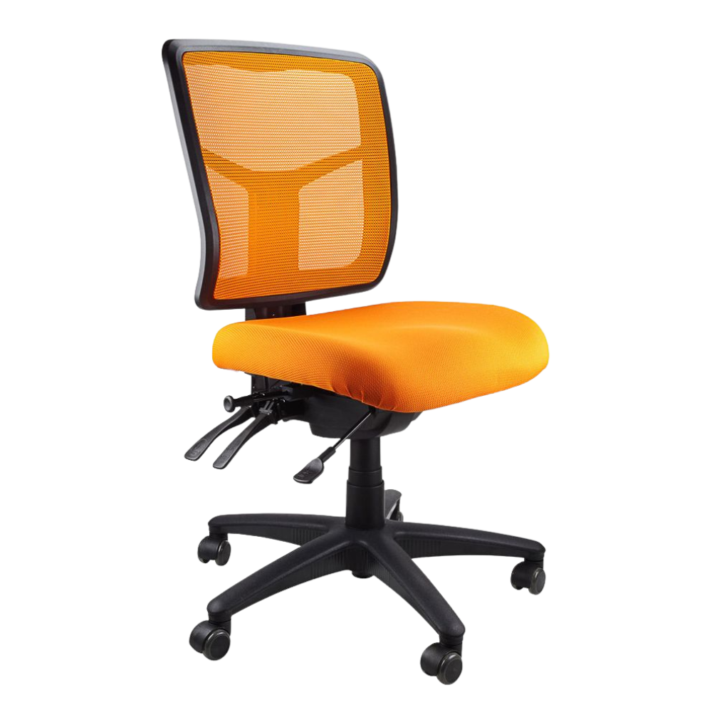 Mesh Mirae Office Chair, angled view