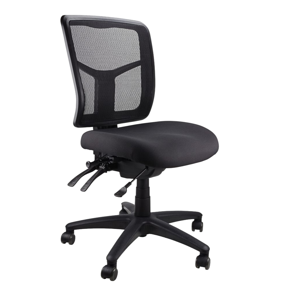 Mesh Mirae Office Chair, angled view