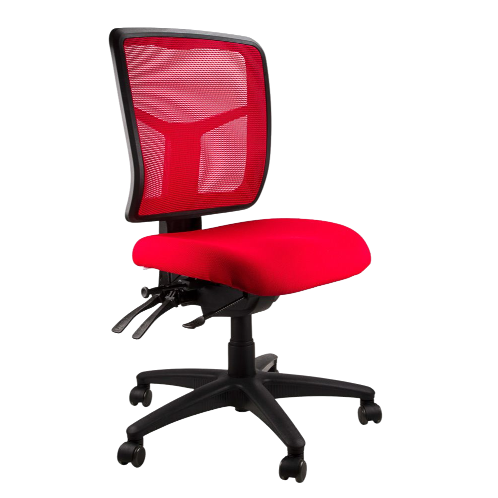 Mesh Mirae Office Chair, angled view