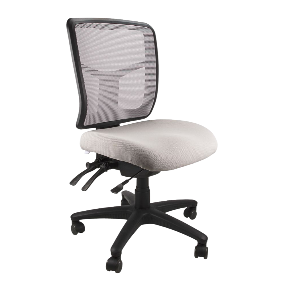 Mesh Mirae Office Chair, angled view