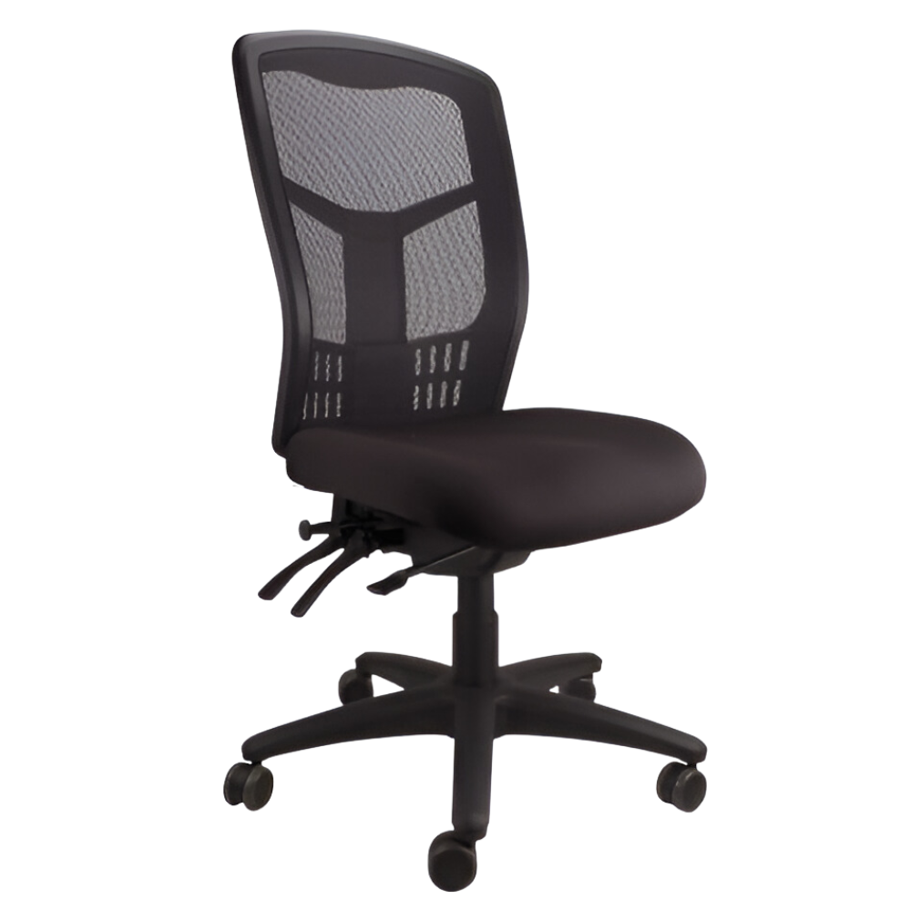Mesh Mirae High Back Office Chair, angled view