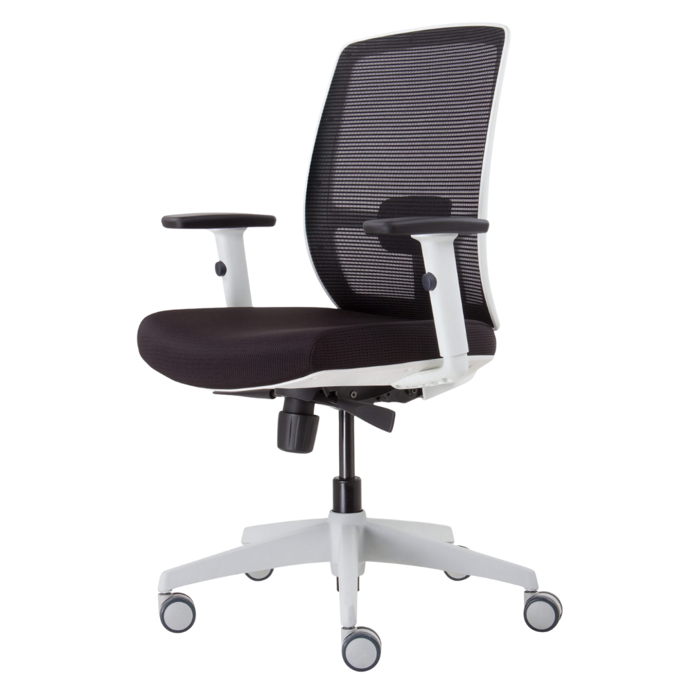 Luminous Task Chair